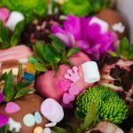 Medium Box - Kids Collection - imagine 5